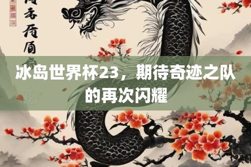 冰岛世界杯23，期待奇迹之队的再次闪耀