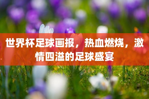 世界杯足球画报，热血燃烧，激情四溢的足球盛宴