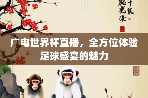 广电世界杯直播，全方位体验足球盛宴的魅力