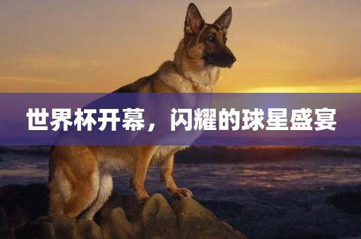 世界杯开幕，闪耀的球星盛宴眉山市正发家政服务有限公司