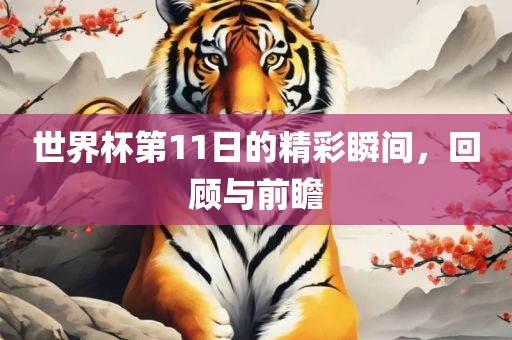 世界杯第11日的精彩瞬间，回顾与前瞻