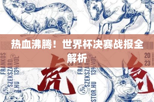 热血沸腾！世界杯决赛战报全解析
