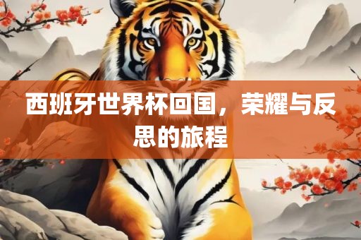 西班牙世界杯回国，荣耀与反思的旅程
