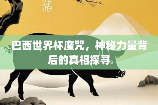 真相探寻