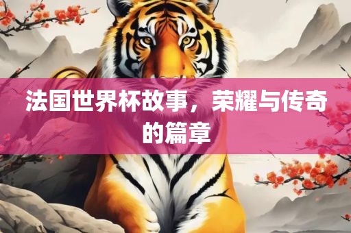 法国世界杯故事，荣耀与传奇的篇章
