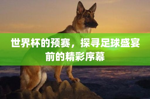 世界杯的预赛，探寻足球盛宴前的精彩序幕