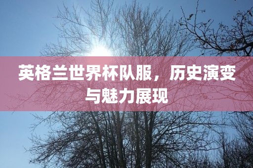 英格兰世界杯队服，历史演变与魅力展现