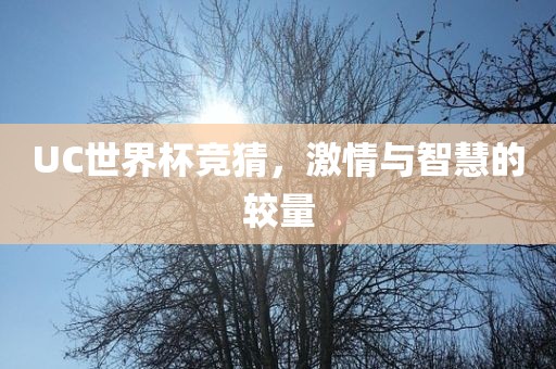 UC世界杯竞猜，激情与智慧的较量