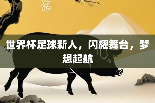 世界杯足球新人，闪耀舞台，梦想起航
