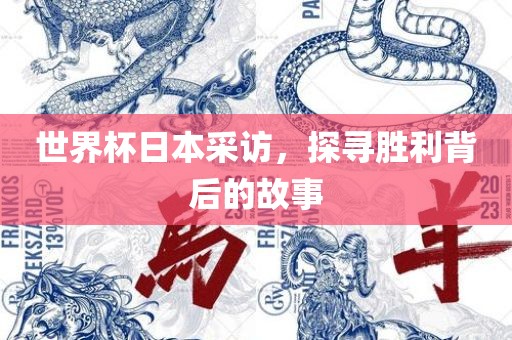 世界杯日本采访，探寻眉山市正发家政服务有限公司胜利背后的故事