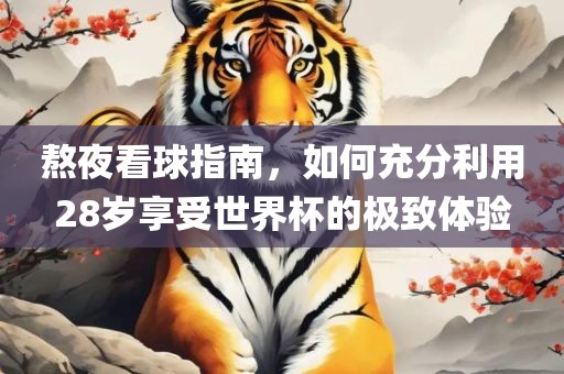 熬夜看球指南，如何充分利用28岁享受世界杯的极致体验