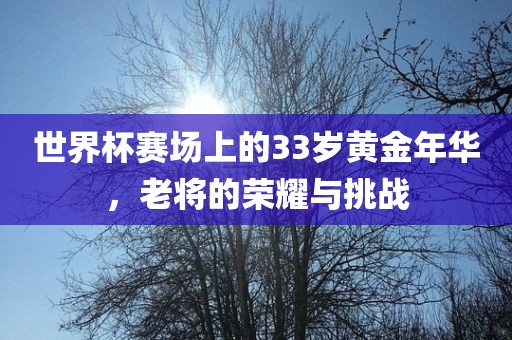 世界杯赛场上的33岁黄金年华，老将的荣耀与挑战