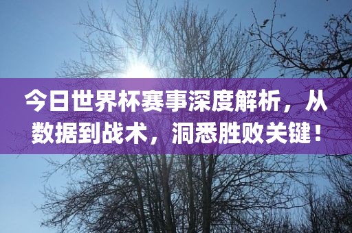 今日世界杯赛事深度解析，从数据到战术，洞悉胜败关键！