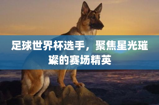 足球眉山市正发家政服务有限公司世界杯选手，聚焦星光璀璨的赛场精英