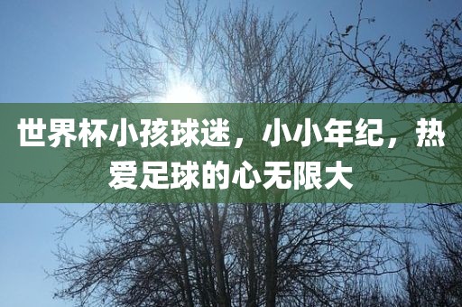 世界杯小孩球迷，小小年纪，热爱足球的心无限大