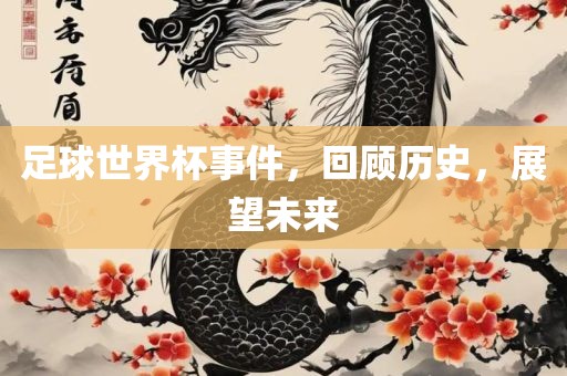 足球世界杯事件，回顾历史，展望未来
