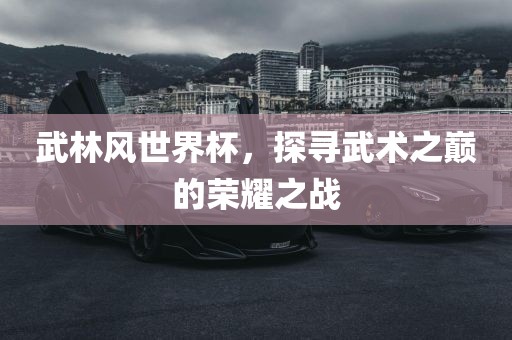 武林风世界杯，探寻武术之巅的荣耀之战