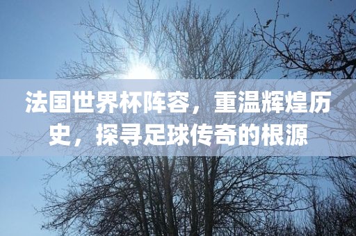法国世界杯阵容，重温辉煌历史，探寻足球传奇的根源