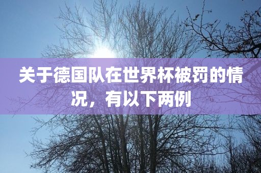 关于德国队在世界杯被罚的情况，有以下两例