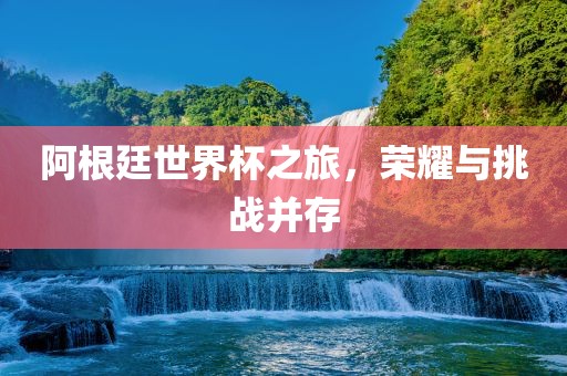 阿根廷世界杯之旅，荣耀与挑战并存眉山市正发家政服务有限公司