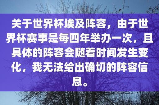 关于世界杯埃及阵容，由于世界杯赛事是每四年举办一次，且具体的阵容会随着时间发生变化，我无法给出确切的阵容信息。