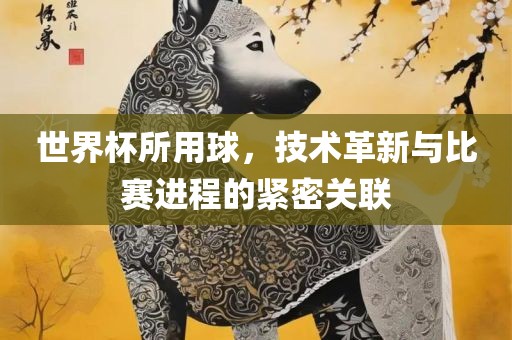 世界杯用球