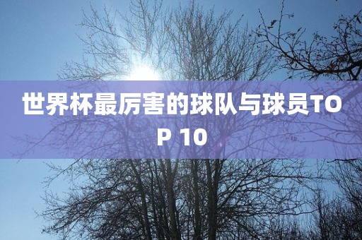 世界杯最厉害的球队与球员TOP 10