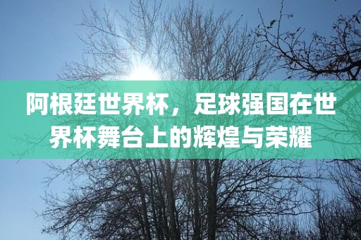 阿根廷世界杯，足球强国在世界杯舞台上的辉煌与荣耀