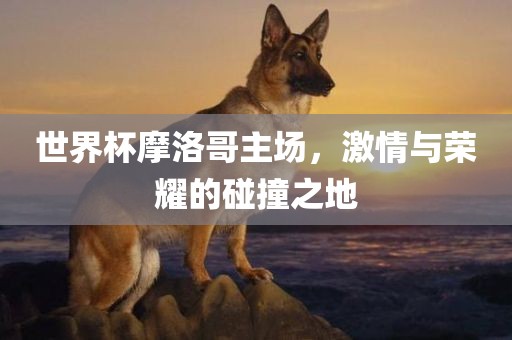 世界杯摩洛哥主场，激情与荣耀的碰撞之地