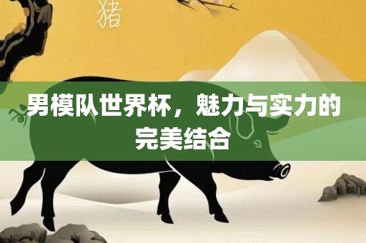 男模队世界杯，魅力与实力的完美结合