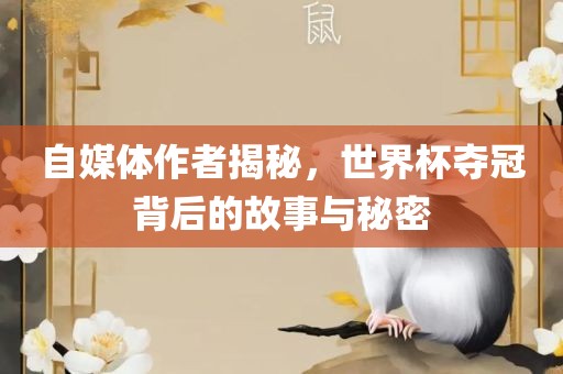 自媒体作者揭秘，世界杯夺冠背后的故事与秘密