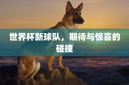 世界杯新球队，期待与惊喜的碰撞