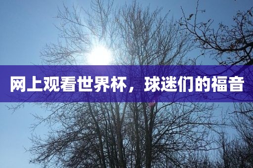 网上观看世界杯，球迷们的福音