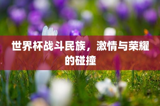 世界杯战斗民族，激情与荣耀的碰撞