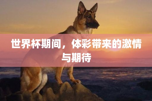 世界杯期间，体彩带来的激情与期待