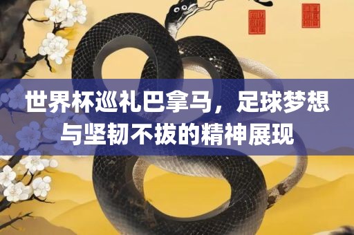 世界杯巡礼巴拿马，足球梦想与坚韧不拔的精神展现