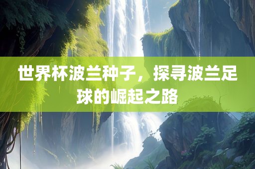 世界杯波兰种子，探寻波兰足球的崛起之路