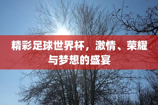 精彩足球世界杯，激情、荣耀与梦想的盛宴