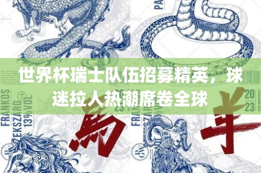 世界杯瑞士队伍招募精英，球迷拉人热潮席卷全球