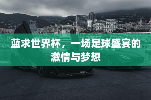 蓝求世界杯，一场足球盛宴的激情与梦想眉山市正发家政服务有限公司