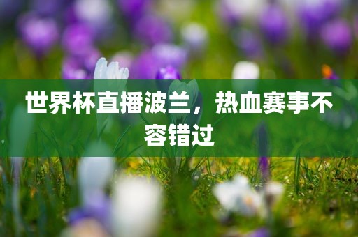 世界杯直播波兰，热血赛事不容错过