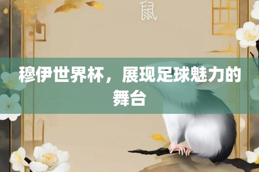 穆伊世界杯，展现足球魅力的舞台