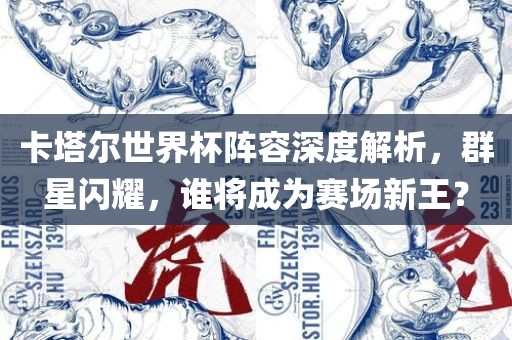 卡塔尔世界杯阵容深度解析，群星闪耀，谁将成为赛场新王？