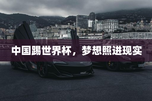 中国踢世界杯，梦想照进现实