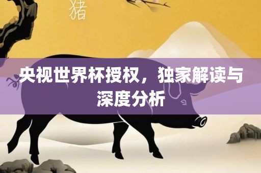 央视世界杯授权，独家解读与深度分析