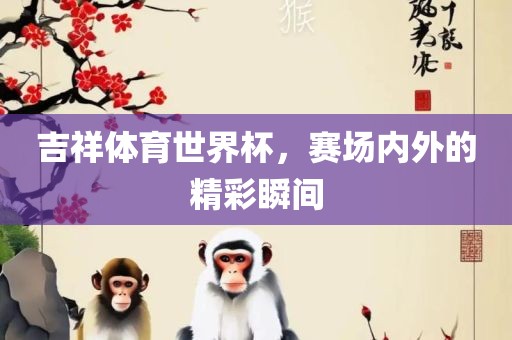 吉祥体育世界杯，赛场内外的精彩瞬间