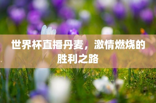 世界杯直播丹麦，激情燃烧的胜利之路