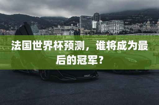 法国世界杯预测，谁将成为最后的冠军？