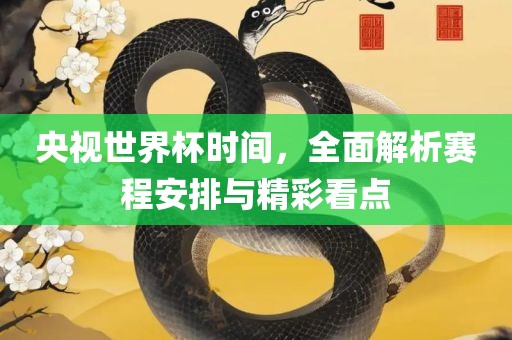 央视世界杯时间，全面解析赛程安排与精彩看点