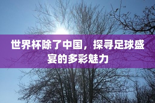 世界杯除了中国，探寻足球盛宴的多彩魅力